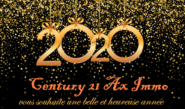 IMMOBILIER 2020